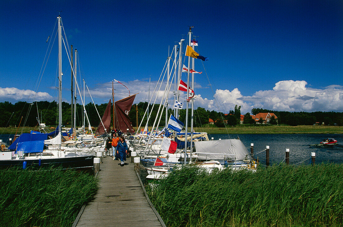 Harbour Prerow, Darss, Mecklenburg-Western Pomerania, Germany