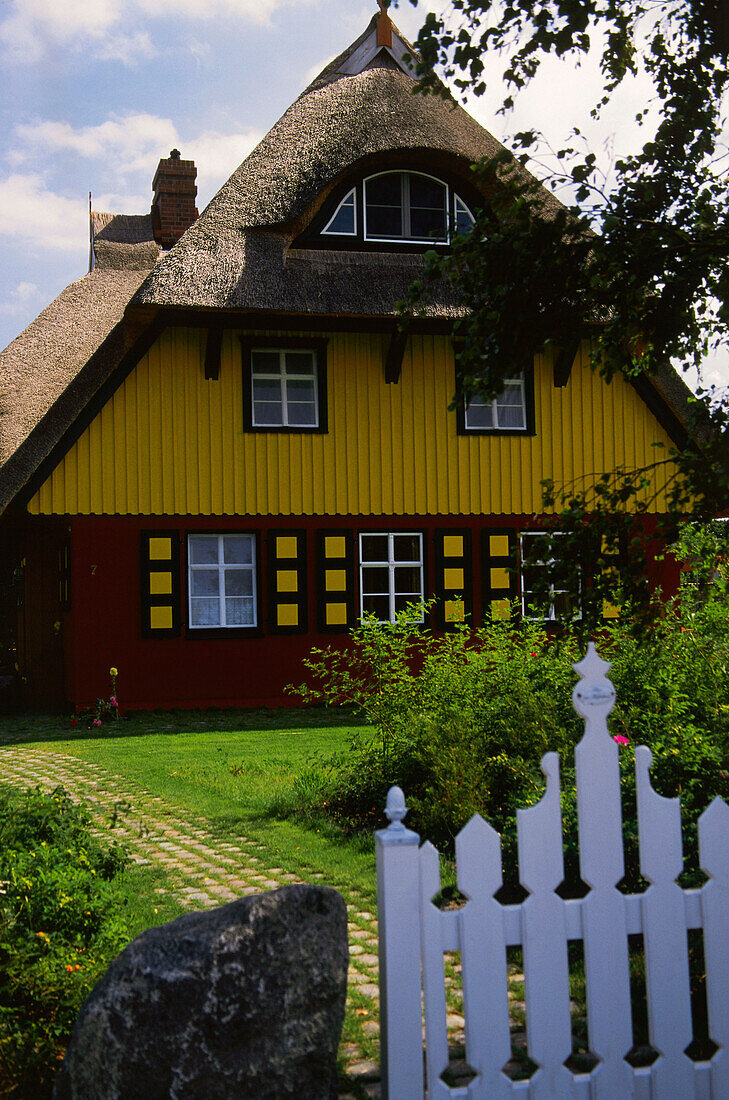 House with typical roof, Darss, mecklenburg-Western Pomerania, Germany