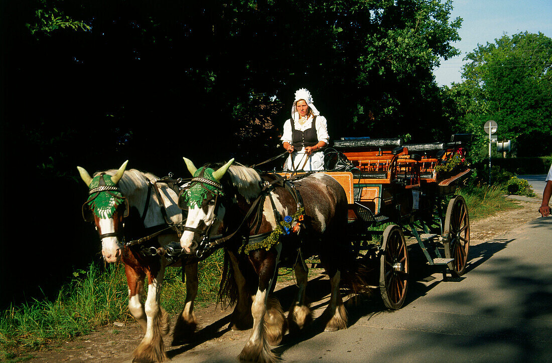 Horse Carriage, Prerow, Darss, Mecklenburg-Western Pomerania, Germany