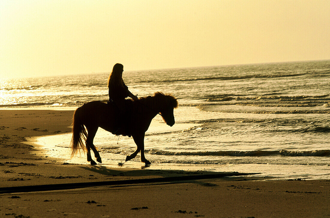 Reiten am Strand, Insel Norderney, Ostfriesische Inseln, Deutschland, Europa