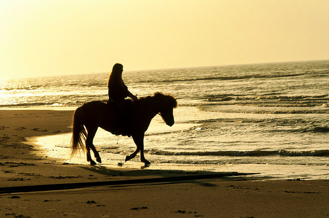 Riding on the beach, Norderney, East Frisia, Germany