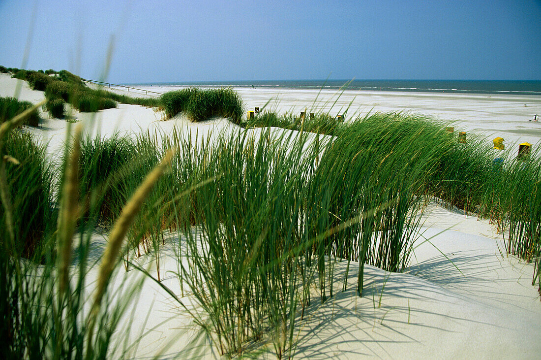 Blick über Dünen auf Strand mit Strandkörben, Juist, Ostfriesische Inseln, Niedersachsen, Deutschland