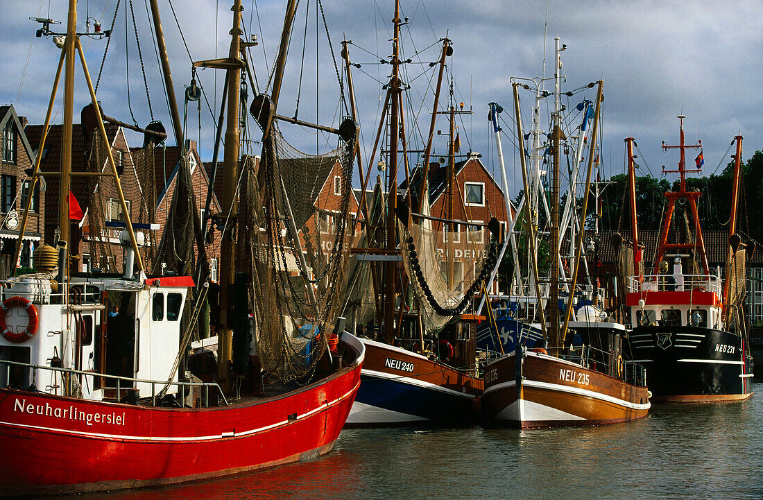 Fishing boats in harbour, Neuharlingersiel, East Frisia, Germany