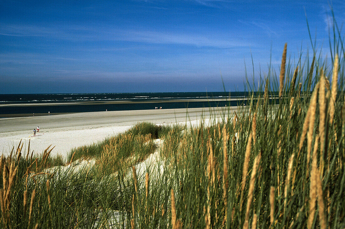 View over sandy beach to North Sea, Baltrum, Lower Saxony, Germany