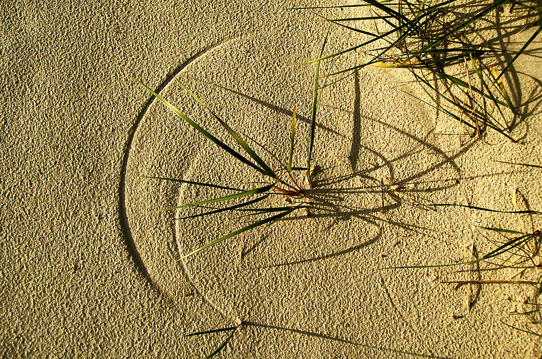 Traces in the sand, Lower Saxony, North Sea, Germany