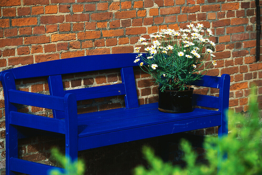 Blue wooden bench, Foehr Island, Schleswig Holstein, Germany