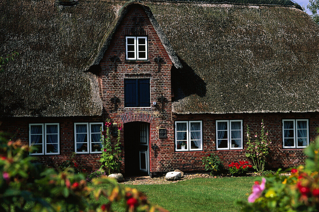 House on Amrum, North Frisia, Germany