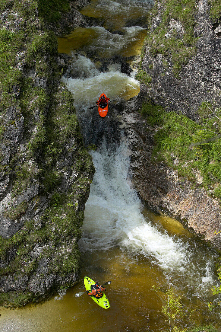 Men, Kajaker, Creek, Wildwater, Gimbach, Salzkammergut, Salzburger Land, Austria