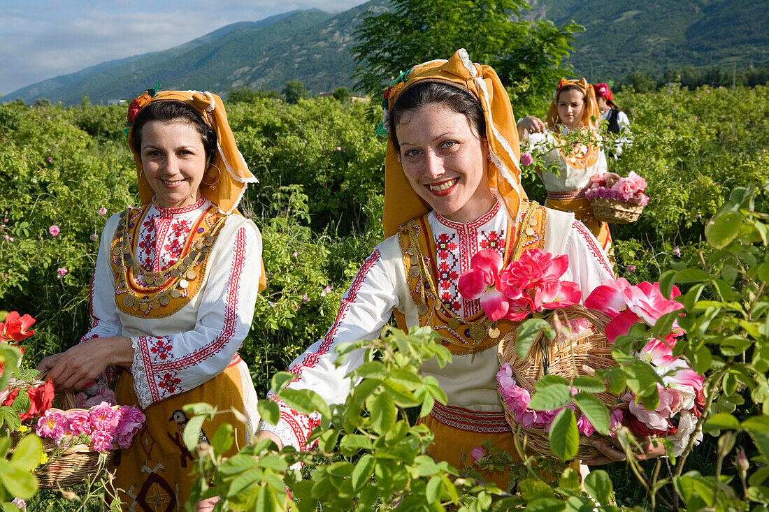 Rose picking girls at harvest, Rose Festival, Karlovo, Bulgaria, Europe