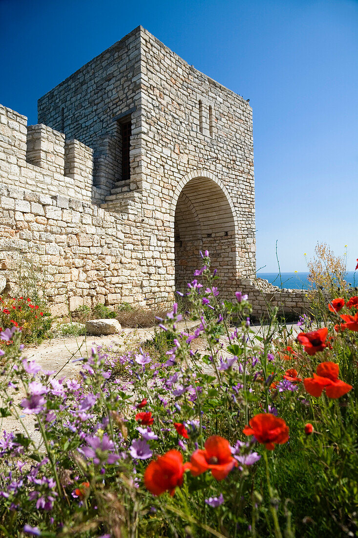 Flowers and castle in the sunlight, Cape Kaliakra, Black Sea, Bulgaria, Europe