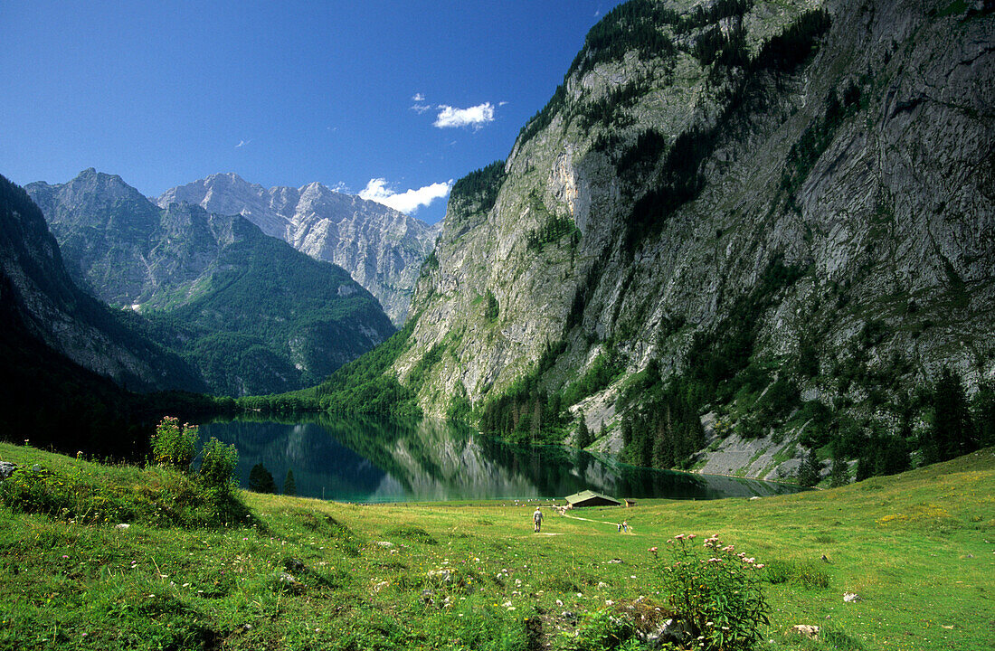 alpine pasture of Fischunkelalm with lake Obersee and Watzmann, Berchtesgaden range, Upper Bavaria, Bavaria, Germany
