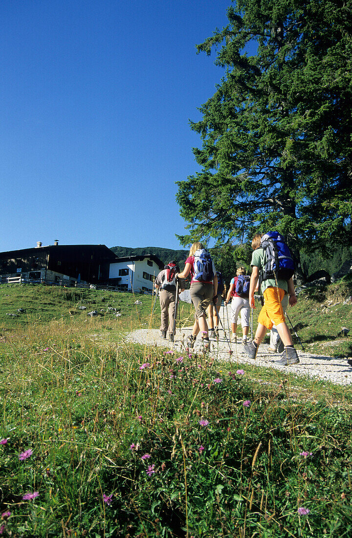 Wanderer unterhalb der Priener Hütte am Geigelstein, Chiemgau, Oberbayern, Bayern, Deutschland