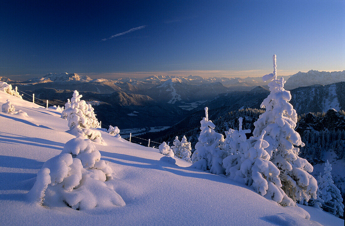 tief verschneite Fichten an der Kampenwand, Blick nach Tirol, Chiemgau, Oberbayern, Bayern, Deutschland