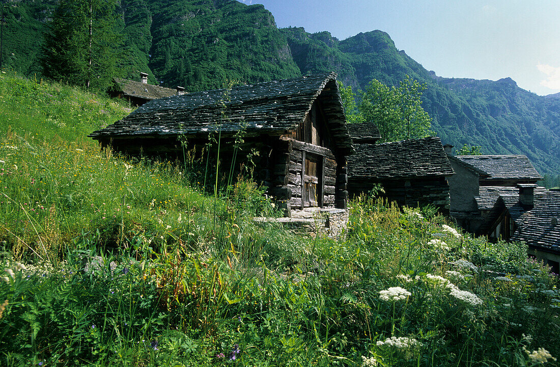 Old wooden houses, Bosco-Gurin, Ticino, Switzerland