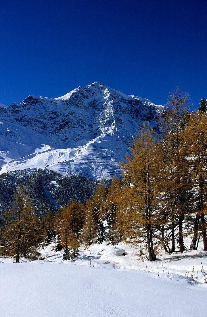 Ortler, Ortler range, South Tyrol, Italy