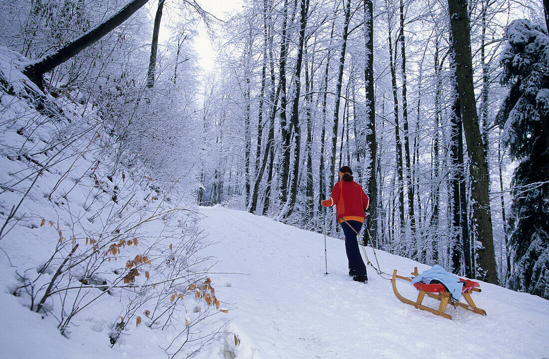 sledging at hut Gsohlalpe, Hohenems, Bregenzer Wald, Vorarlberg, Austria