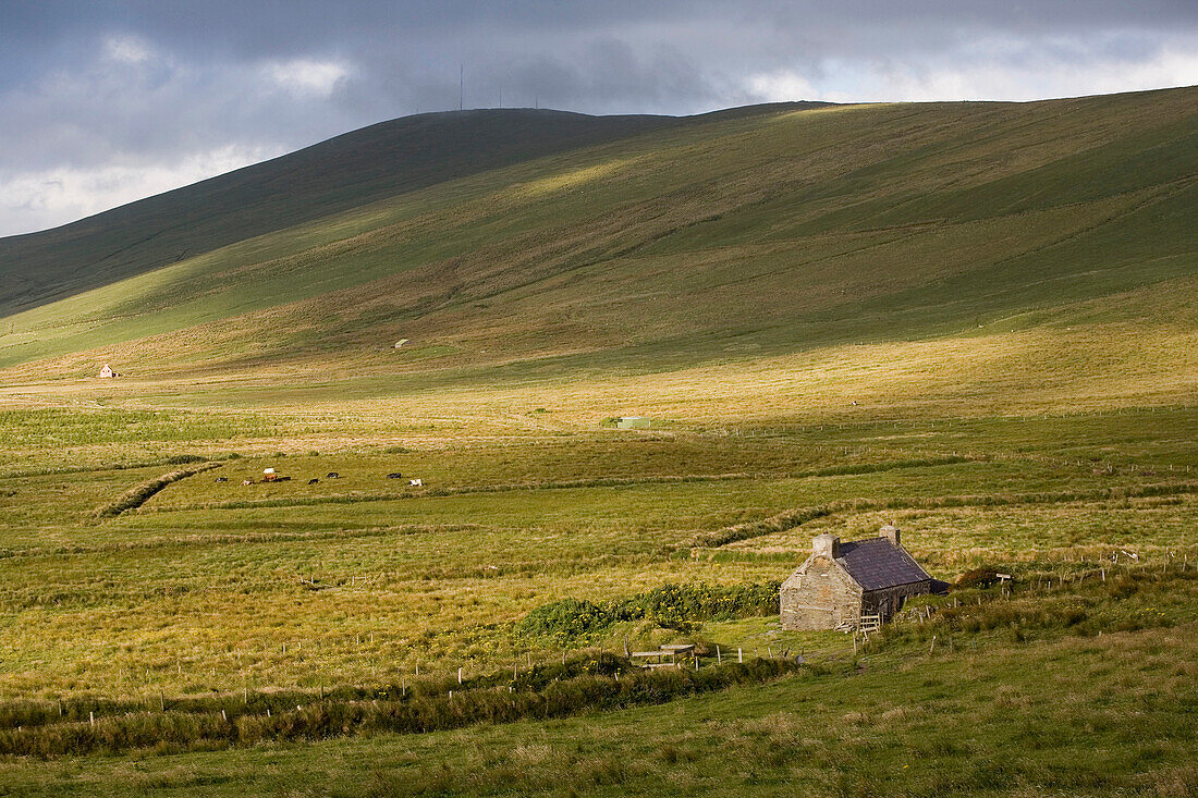 Landscape between Ballynahow and Portmagee, Ring of Kerry, Ireland, Europe