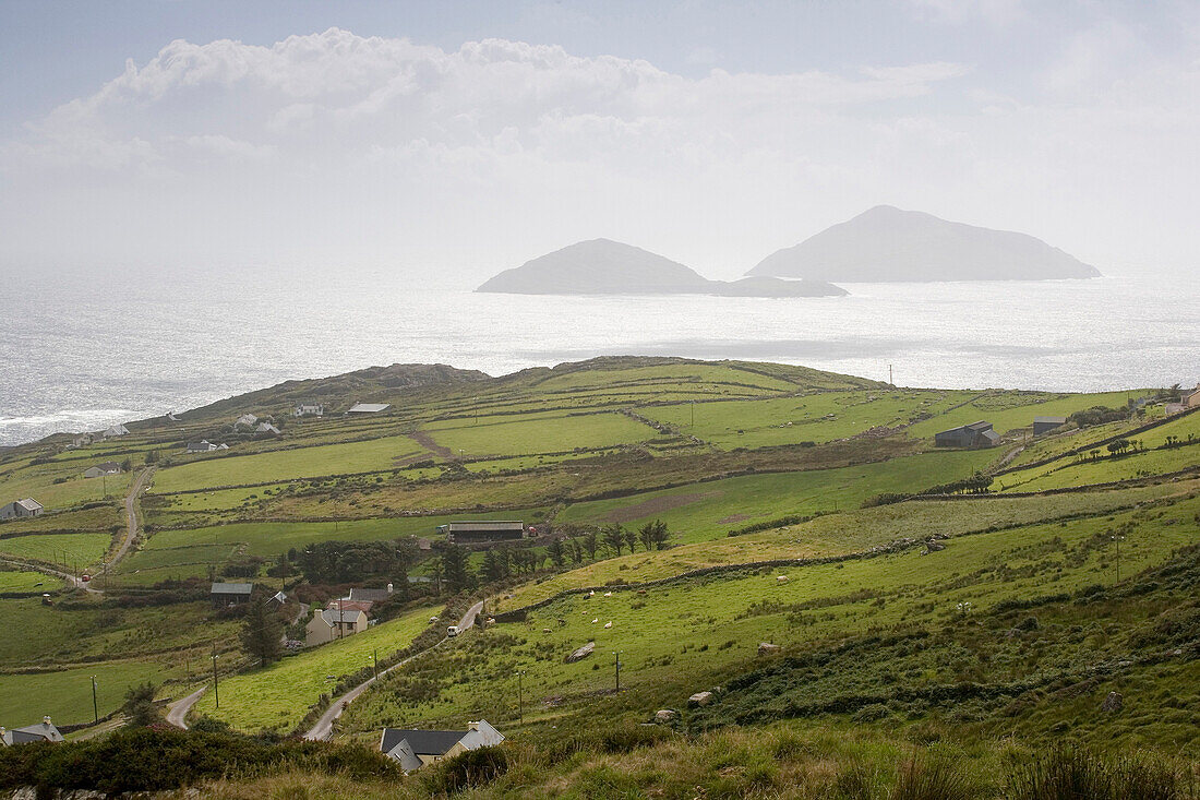 Blick auf Scarriff and Deenish Island, Ring of Kerry, Irland, Europe