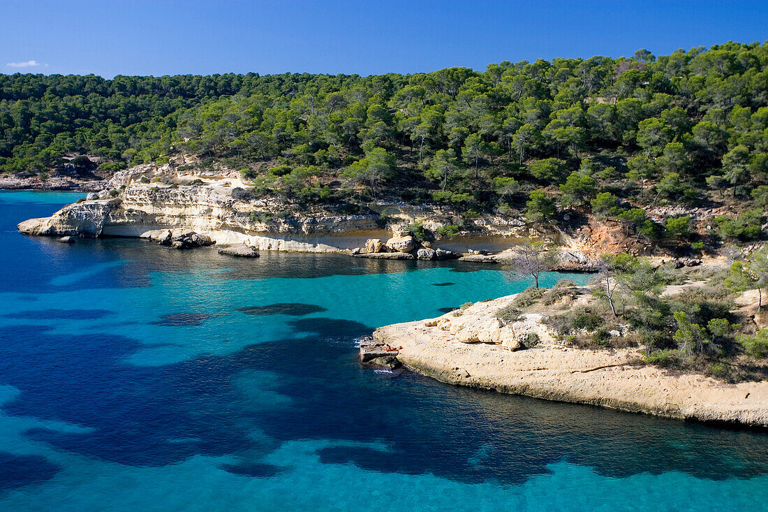 Coastal landscape near Portals Vells, Mediterranean sea, Majorca, Spain