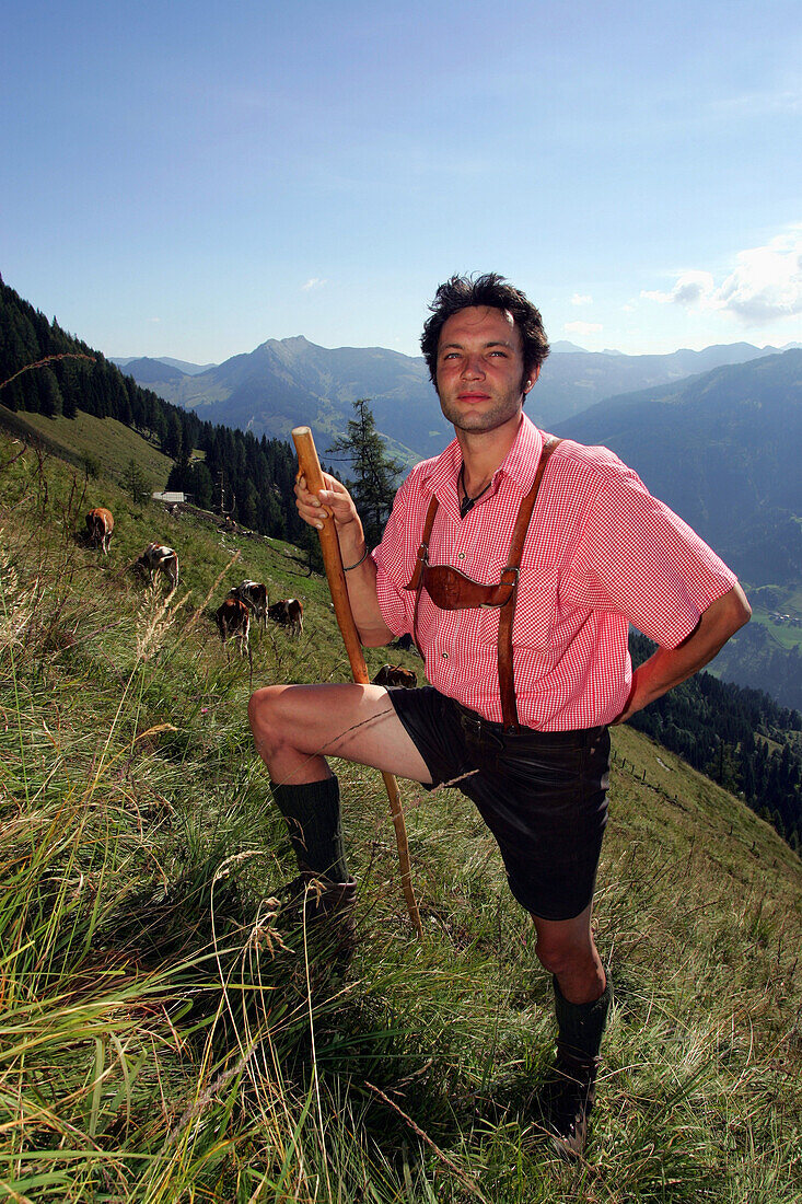 Senner in Karohemd und Lederhose, hütet das Jungvieh auf den steilen Wiesen der Viehausalm, Nationalpark Hohe Tauern, Salzburger Land, Österreich