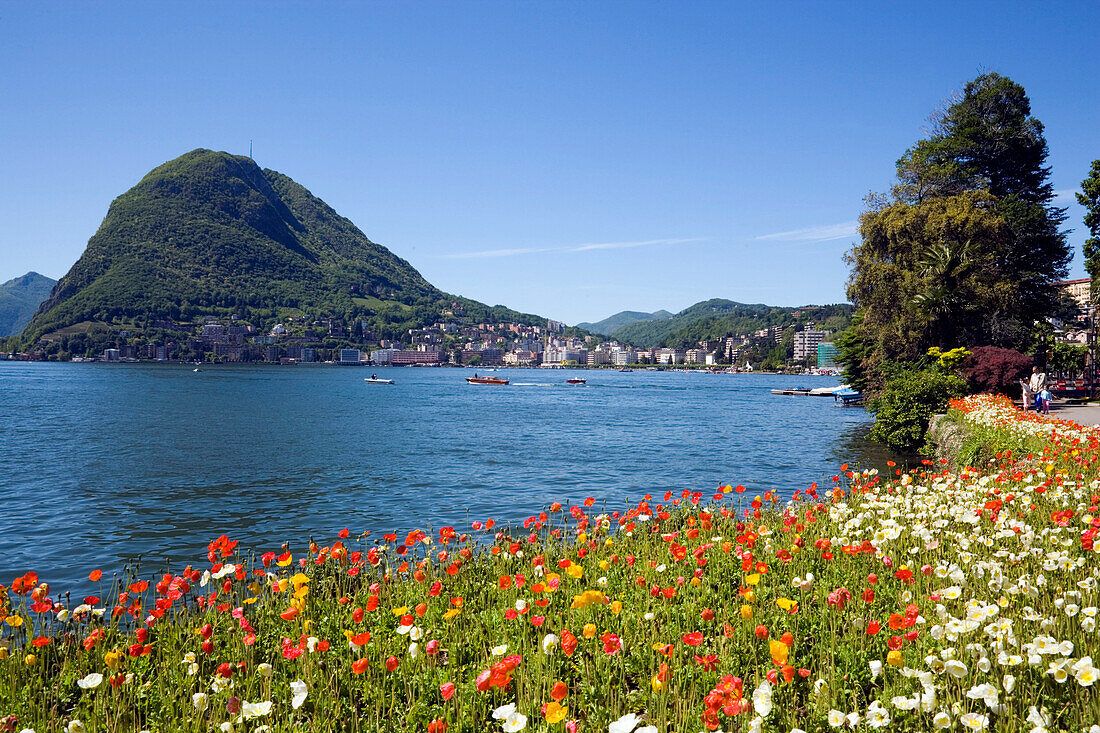 View from Parco Civico over Lake Lugano, Lugano, Ticino, Switzerland