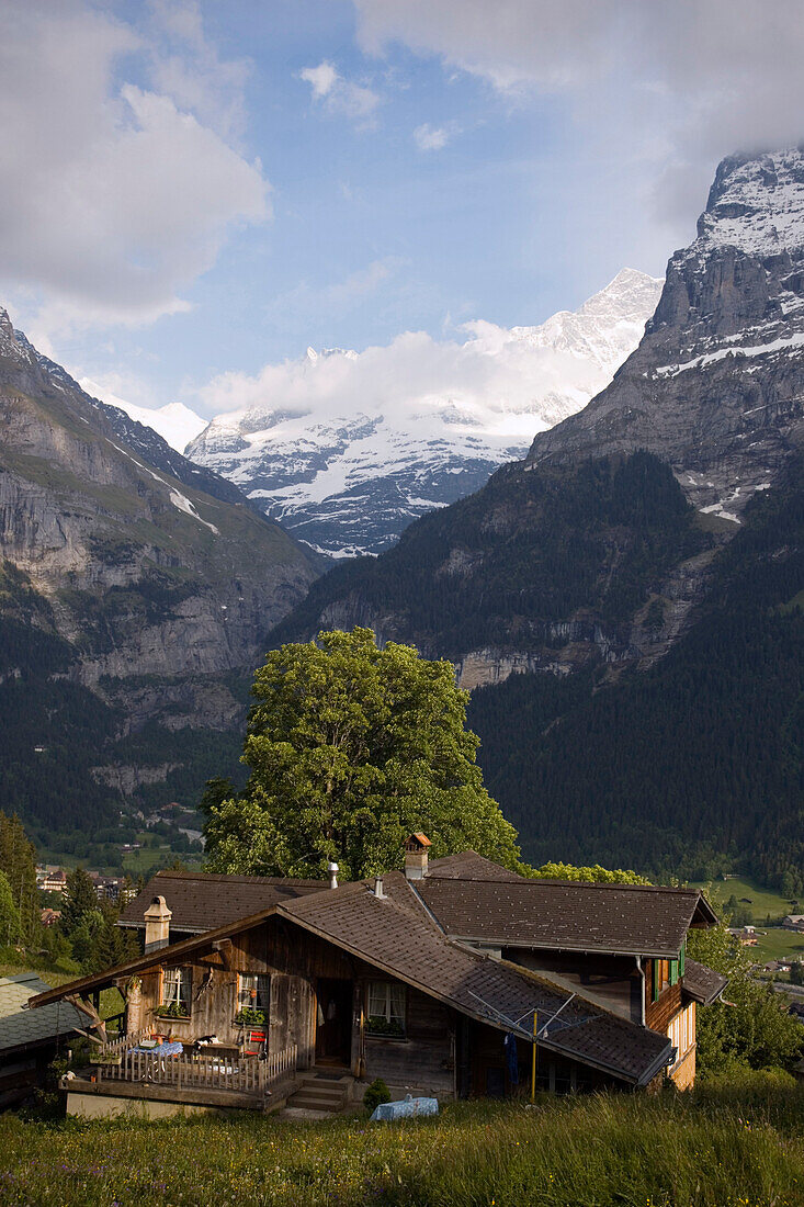 Hütte mit Berner Alpen im Hintergrund, Grindelwald, Berner Oberland, Kanton Bern, Schweiz
