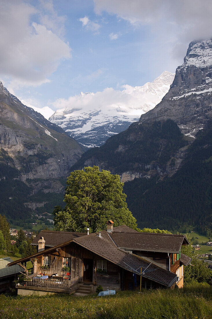 View over a wooden house to Bernese Alps, Grindelwald, Bernese Oberland (highlands), Canton of Bern, Switzerland