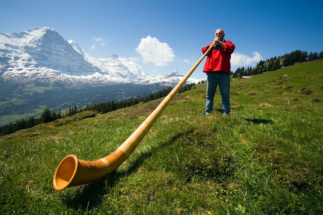 Mann spielt Alphorn, Bussalp 1800 m, Grindelwald, Berner Oberland, Kanton Bern, Schweiz