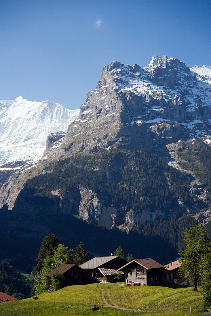 Häuser am First (2168 m), Grindelwald, Berner Oberland, Kanton Bern, Schweiz