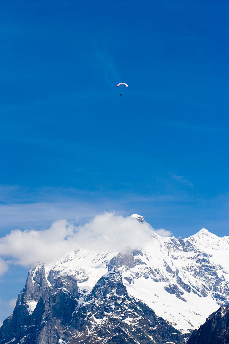 Paraglider, Grindelwald, Berner Oberland, Kanton Bern, Schweiz