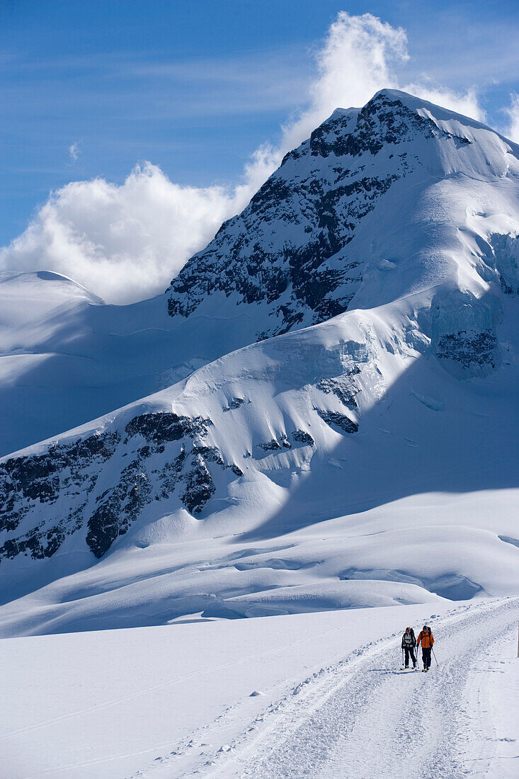 Two people glacier hiking at Jungfraufirn glacier, Grindelwald, Bernese Oberland (highlands), Canton of Bern, Switzerland