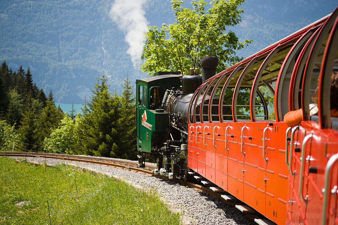 Brienzer Rothornbahn, Zahnradbahn, fährt Bergauf, Brienzer See im Hintergrund, Brienz, Berner Oberland, Kanton Bern, Schweiz