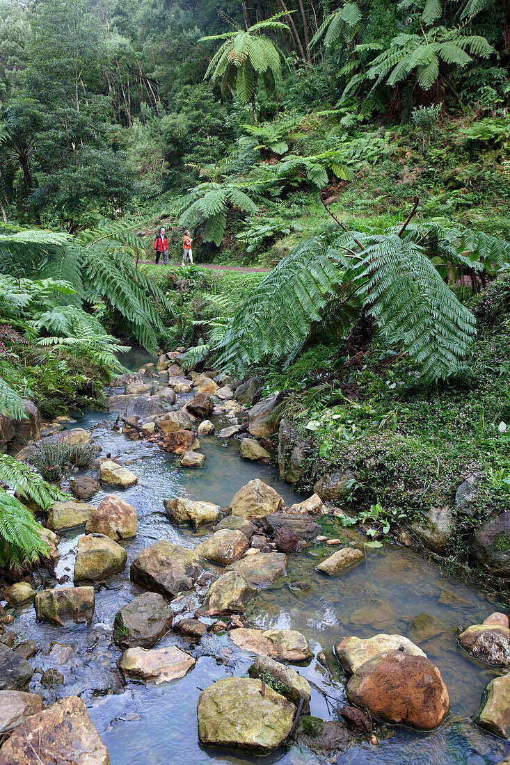 Wandern im Park von Caldeira Velha