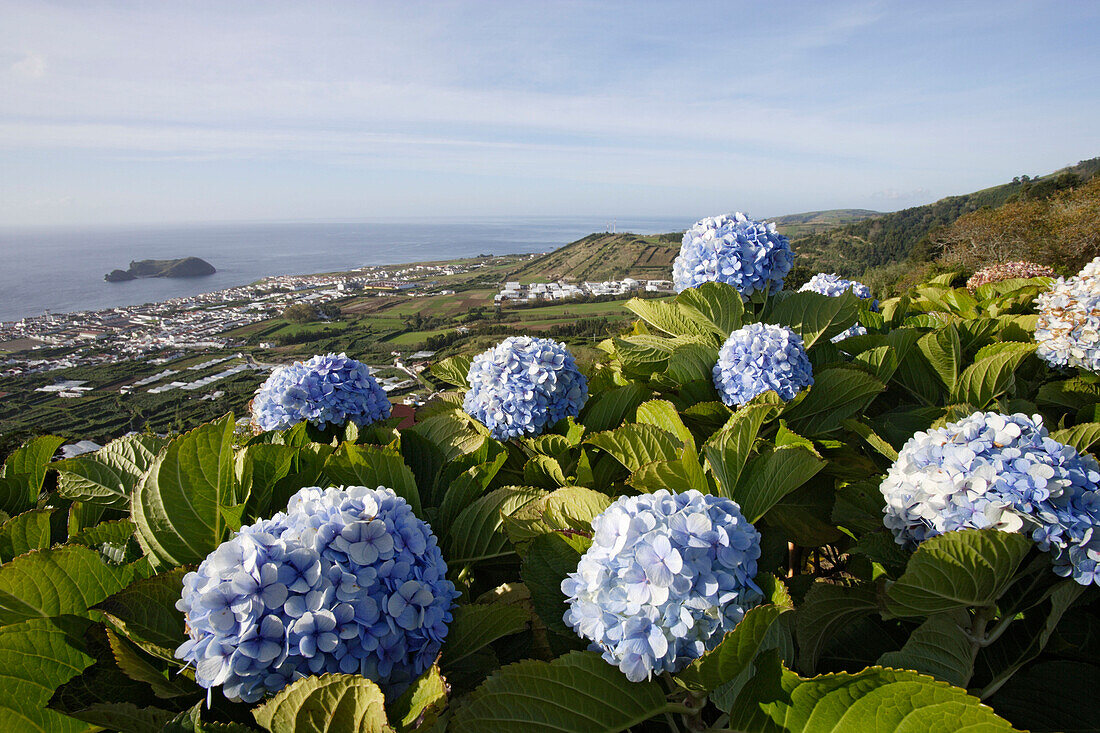 View from Belvedere onto Villa Franca do Campo and the Ilheu de Villa Franca, Azores, Portugal