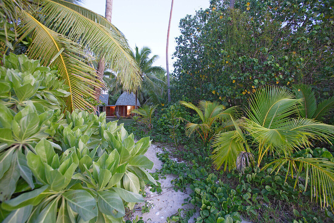 Fale, traditionelle Hütten, Fafa, Tonga, Südsee