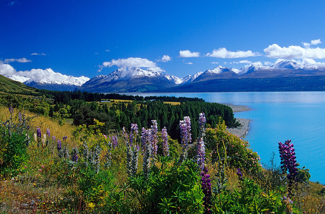 Lake Pukaki und Mount Cook Nationalpark, Südinsel, Neuseeland