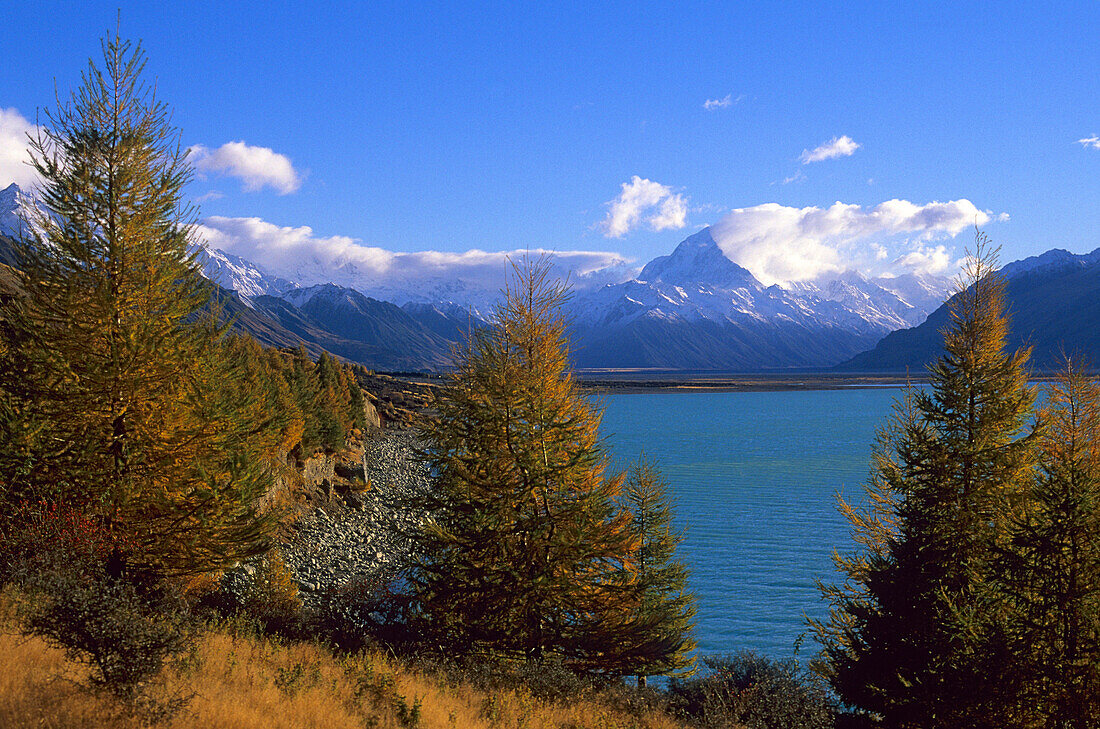 Lake Putaki and Mount Cook, New Zealand