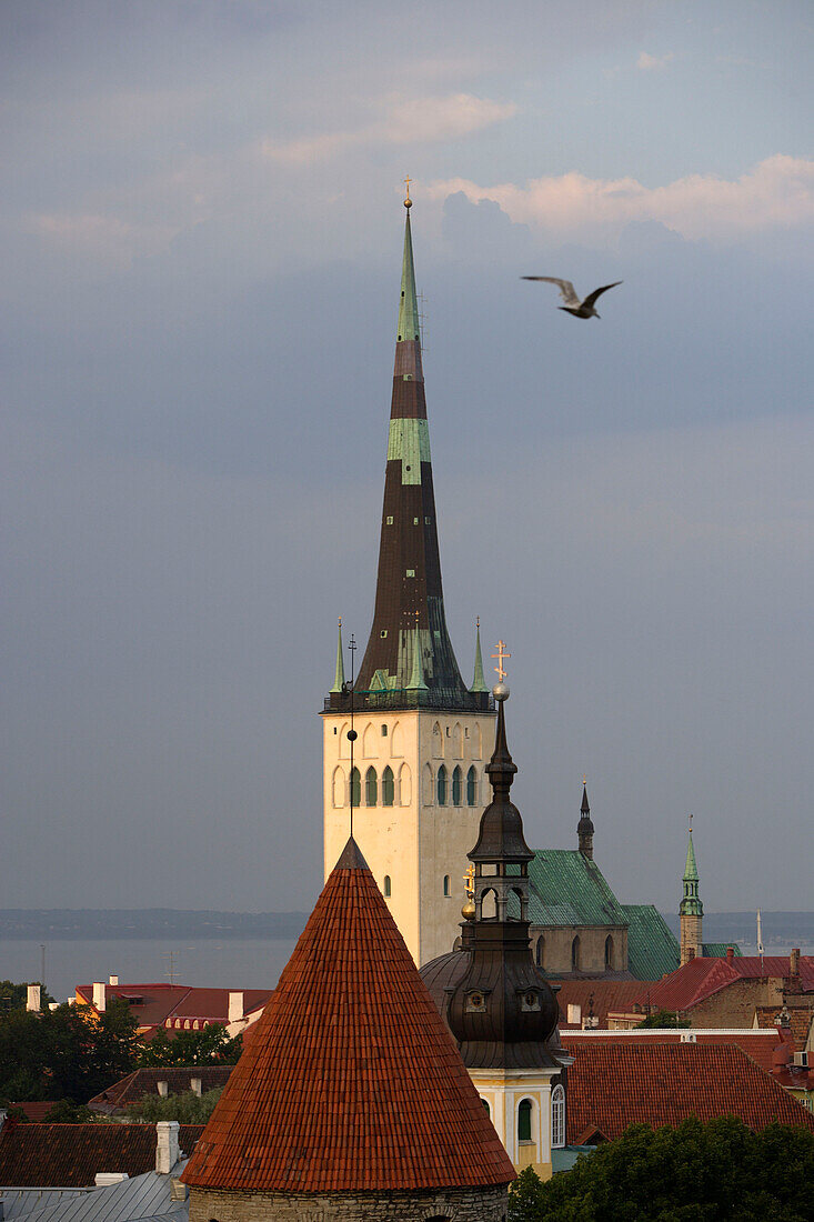 Altstadt von Tallinn von der Rohukohtu Aussichtsplattform. Ein Turm der Befestigungsmauern vorne, dahinter das Michaelskloster und die Olaikirche