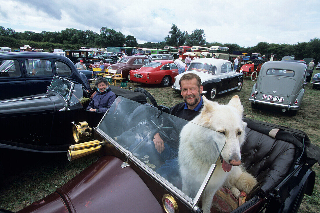 Man and Dog in Oldtimer, Northiam Steam and Country Fair, Northiam, East Sussex, England, Great Britain