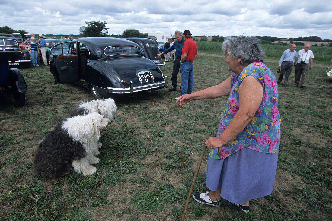 Platz!, Frau mit Hunden vor Oldtimer, Northiam, East Sussex, Südengland, England, Großbritannien