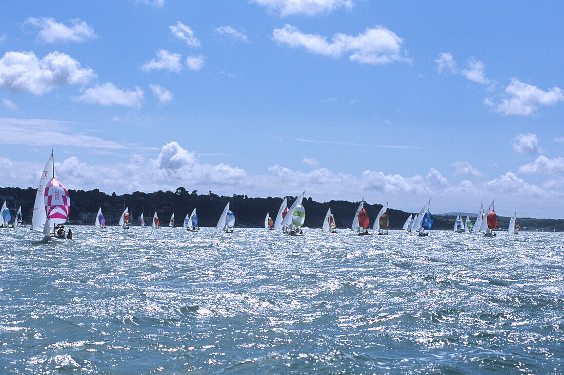 Yachts with Spinnaker Sails, Cowes Week Regatta, Cowes, Isle of Wight, England