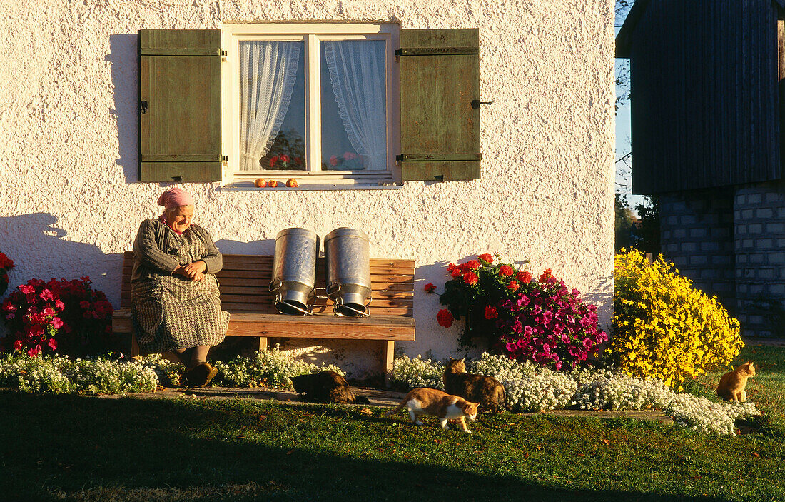 A farmers wife sitting on a bench watching cats, Ammertal, Upper Bavaria, Bavaria, Germany, Europe