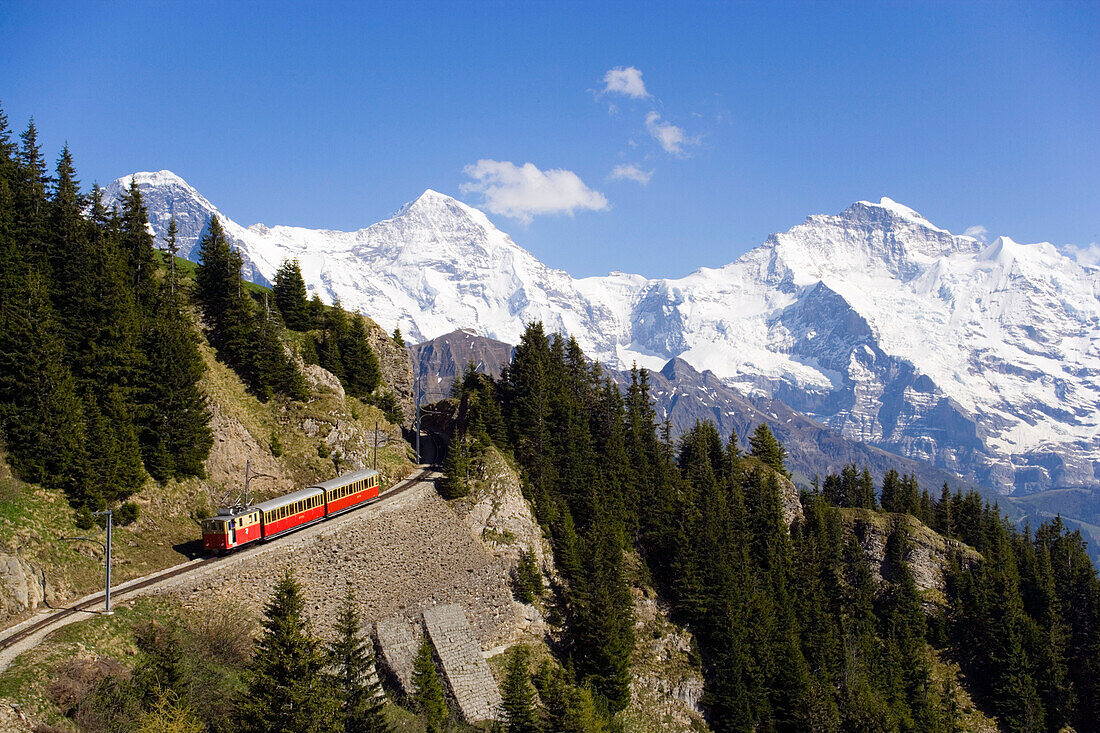 Schynige Platte Railway, Eiger (3970 m), Mönch (4107 m) and Jungfrau (4158 m) in background, Schynige Platte (1967 m), Interlaken, Bernese Oberland (highlands), Canton of Bern, Switzerland (Part of Jungfrau Aletsch Bietschhorn UNESCO World Heritage Site)