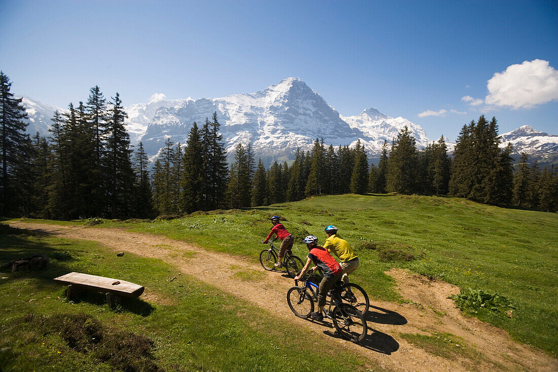 Three people riding mountain bikes at Bussalp (1800 m), view to Eiger North Face (3970 m), Grindelwald, Bernese Oberland (highlands), Canton of Bern, Switzerland