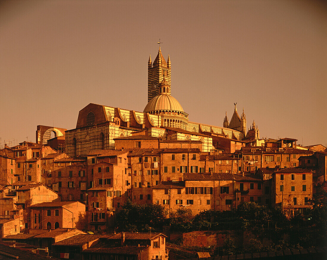 Siena, Toskana, Italien