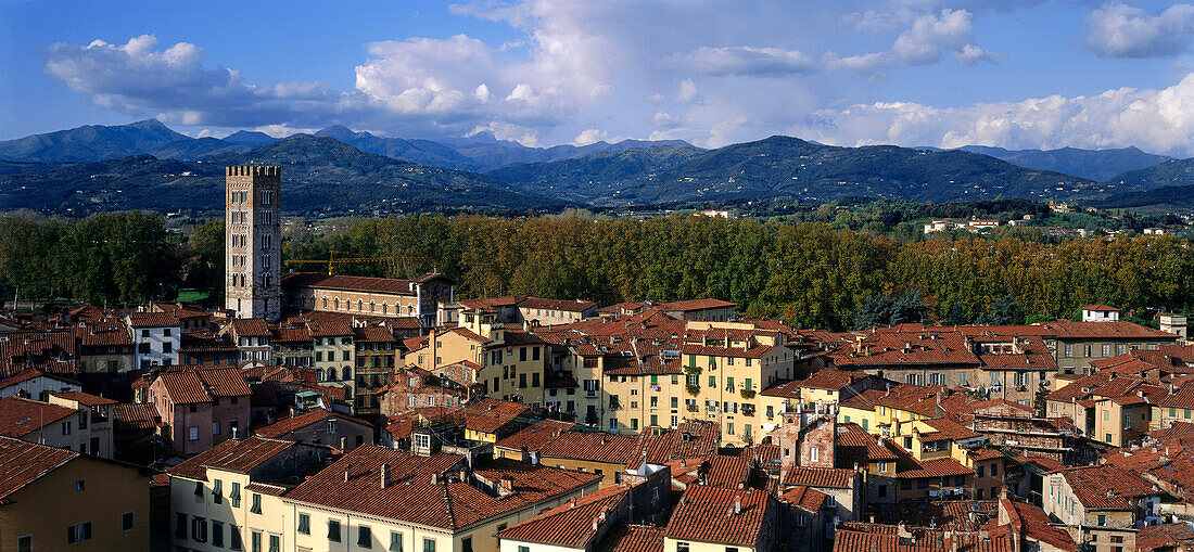 Stadtübersicht mit der Kirche San Frediano und Piazza, Lucca, Toskana, Italien