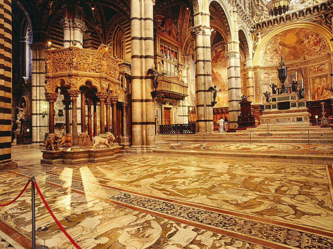 Interior view of Santa Maria Assunta, Cathedral of Siena, Tuscany, Italy