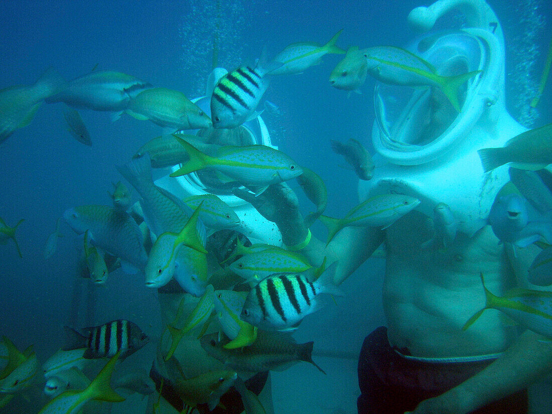 Unterwasserbild von Fischen und Menschen mit Helmen beim Sea Trek Underwater Walk, De Palm Island, Aruba, ABC-Inseln, Niederländische Antillen, Karibik