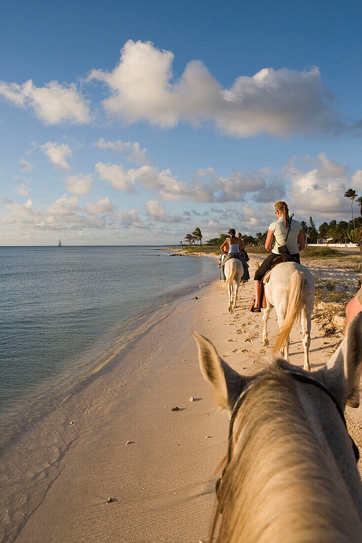 Horseback Riding on Beach, Rancho Notorious, Aruba, Dutch Caribbean
