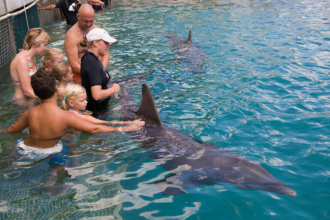 Menschen baden mit Delfinen an der Curacao Dolphin Academy, Bapor Kibra, Curacao, ABC-Inseln, Niederländische Antillen, Karibik